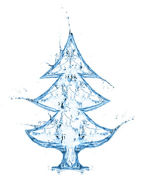 fir tree from water splash