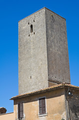 Medieval tower. Tarquinia. Lazio. Italy.