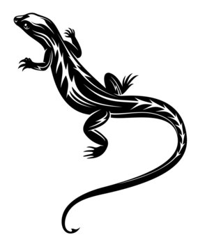 Black lizard reptile