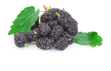 black mulberry