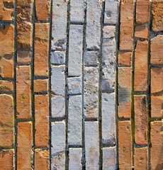 Red brick wall background.