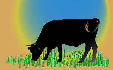 Cow on green field
