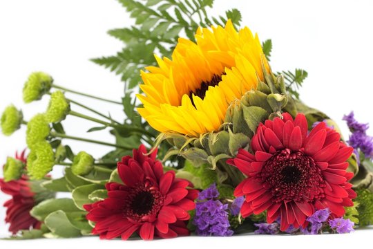 Mixed flowers to white background