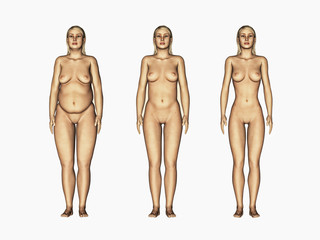 weight loss woman, 3d render