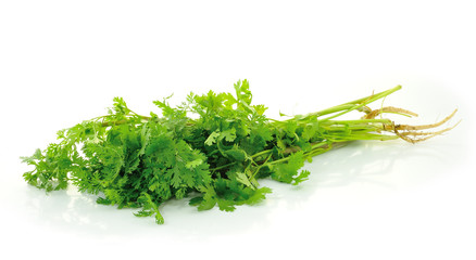 Fresh organic raw coriander leaf isolated on white background. C