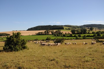 Paysage en Roquefort © d.lemoine