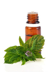 Huile essentielle de menthe poivrée