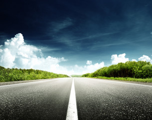 road in forest