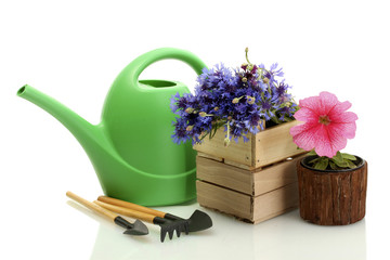 watering can, tools and flowers isolated on white