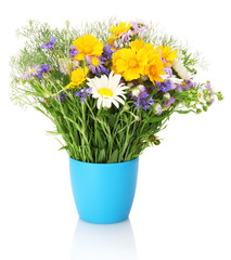 beautiful bouquet of bright  wildflowers in flowerpot, isolated