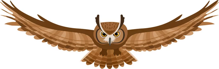 Rolgordijnen zonder boren Vectorillustratie van bruine vliegende uil © naddya