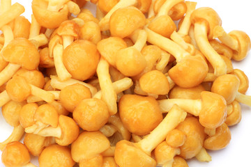 nameko mushrooms