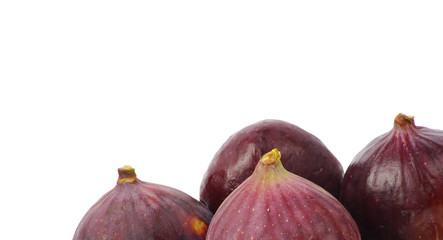 fig