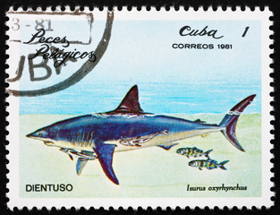 Postage stamp Cuba 1981 Shortfin Mako Shark