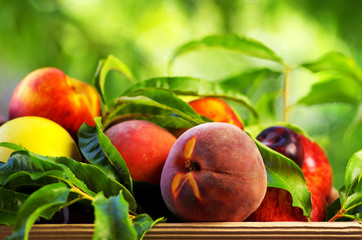 Peach and various fruits