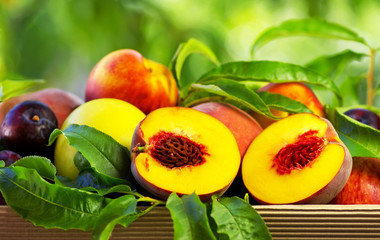 Peach on basket of various fruits