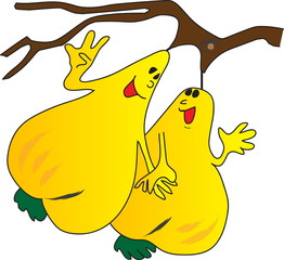 Pear illustration