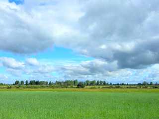field