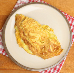 Plain Egg Omelette