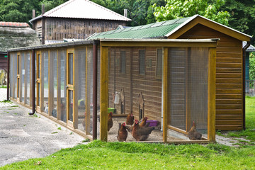 Fowl run to protect chicken for the night - 44020662