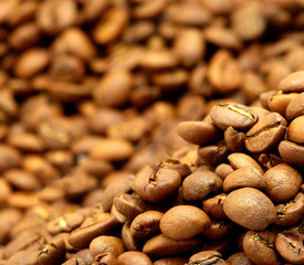 coffee beans