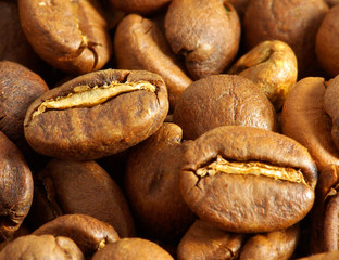 coffee beans