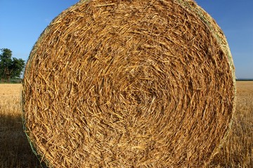 Strohballen 3