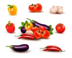 The big colorful group of vegetables  Vector