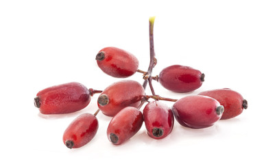 Barberry isolated on a white background