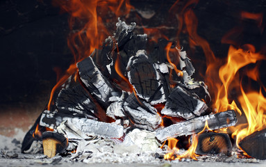 wood burning in the fire