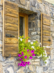 window with flowers