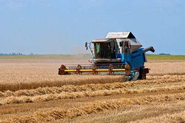 Harvest work