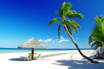 relaxing tropical scenery