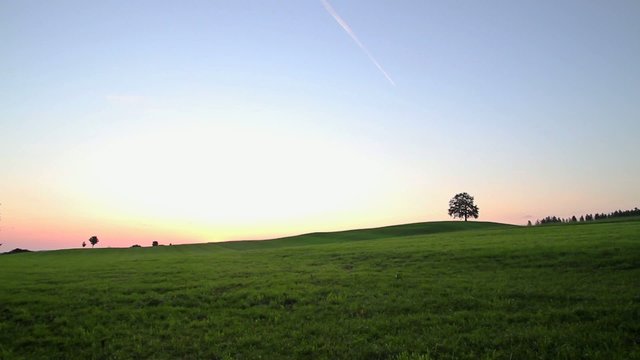 Tree and Hill