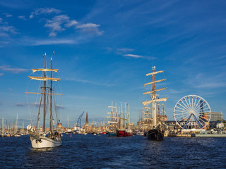 Segelschiffe auf der Hanse Sail 2012 in Rostock. - obrazy, fototapety, plakaty