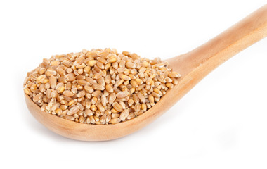 Wheat in a wooden  spoon
