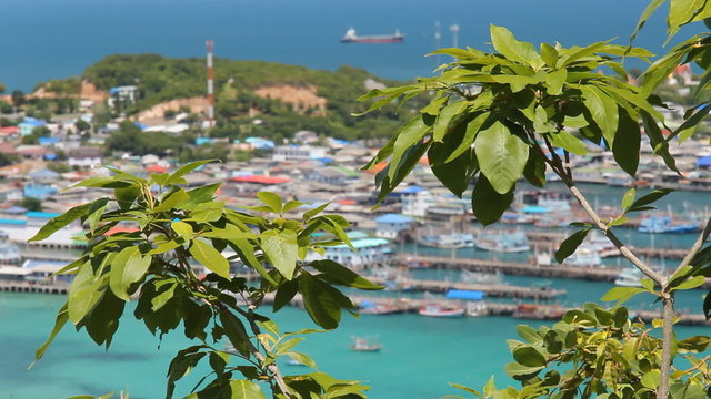 Branch of green leaves moving by wind with fishing pier