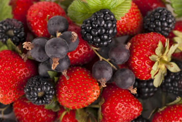 Closeup of the different kinds of berries