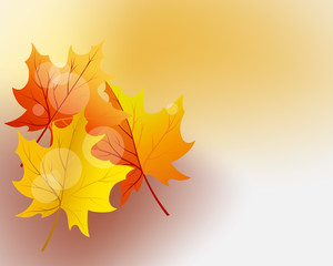 Fototapeta premium Autumn background