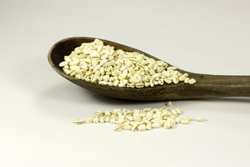 grains de blé