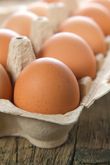Chicken brown eggs