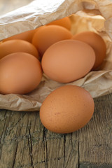 Chicken brown eggs