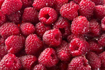 Red raspberry background