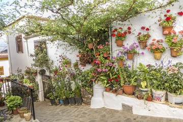 Fototapeta na wymiar Andaluzyjskim patio