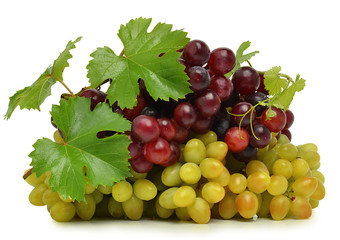 Ripe grape