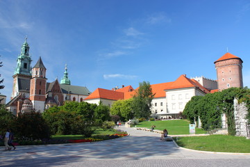 Kraków - Wawel. - obrazy, fototapety, plakaty