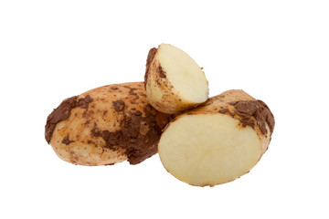 Kartoffel mit Erde