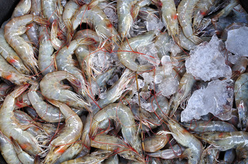 Shrimps  The fish market  