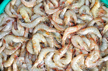 Shrimps  The fish market  