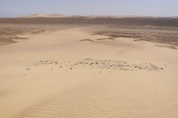 Fototapeta na wymiar Sanddüne im Skelettküsten-National